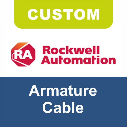 Custom - Rockwell - Armature